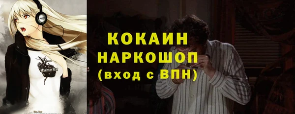 стаф Алексин